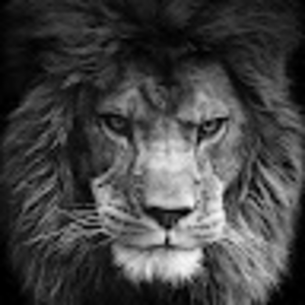 Meet your Posher, Joseph